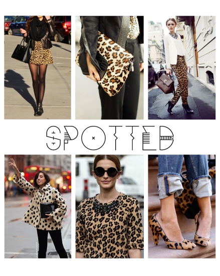 SPOTTED_BLOG